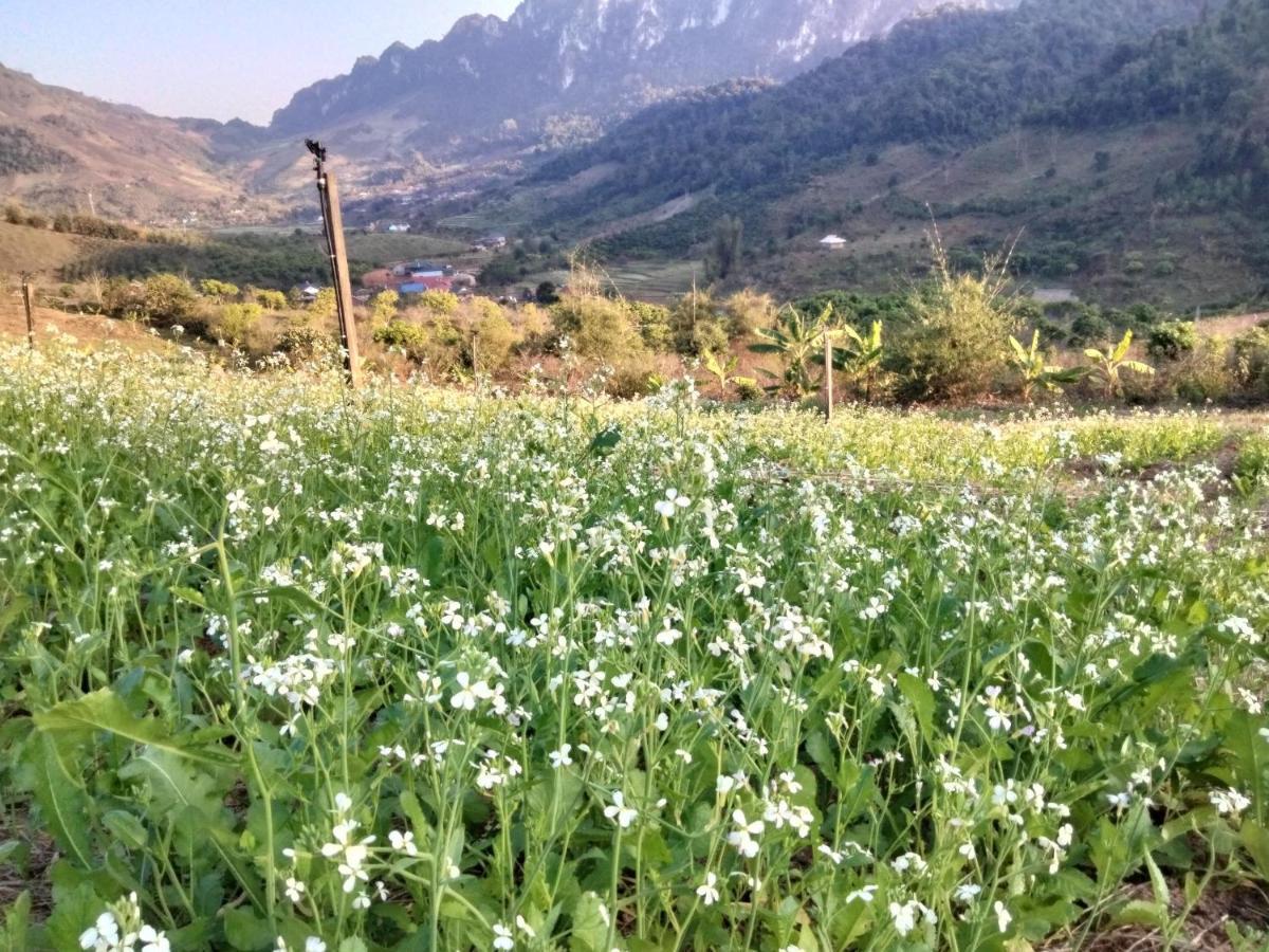 Muong Sang Farmstay موك تشاو المظهر الخارجي الصورة